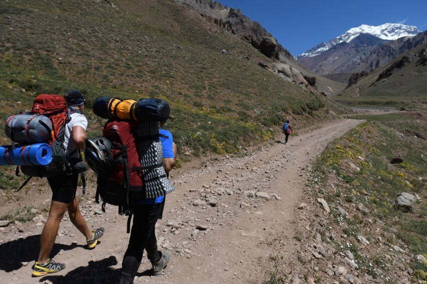 
    Claudio Gutiérrez / Los Andes
   