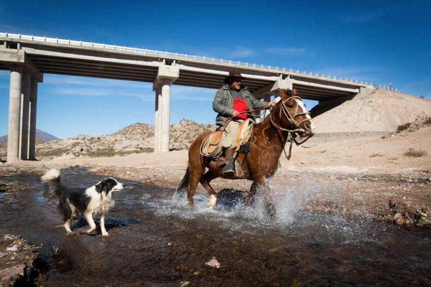 
Puestero. David Santiago Salinas vive a un kilómetro de la ruta junto a sus padres, con quienes cría vacas y cabras.  | Ignacio Blanco / Los Andes
   