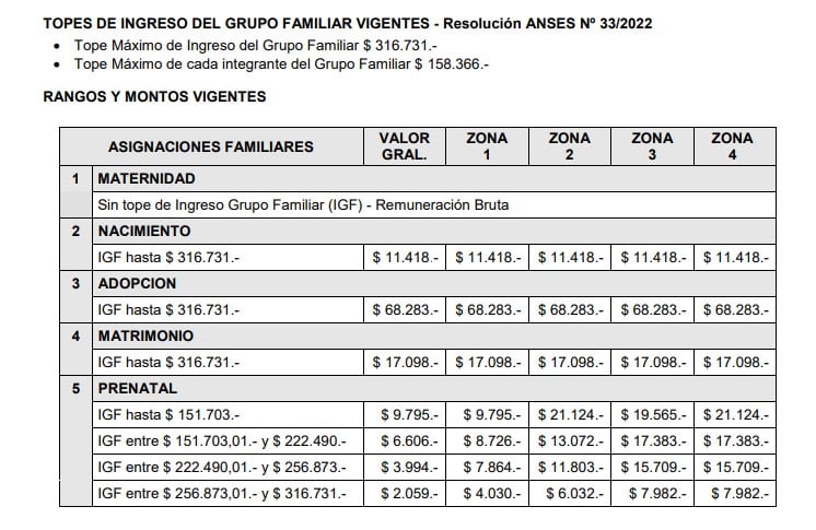 Asignaciones de Pago Único, Anses, enero 2023