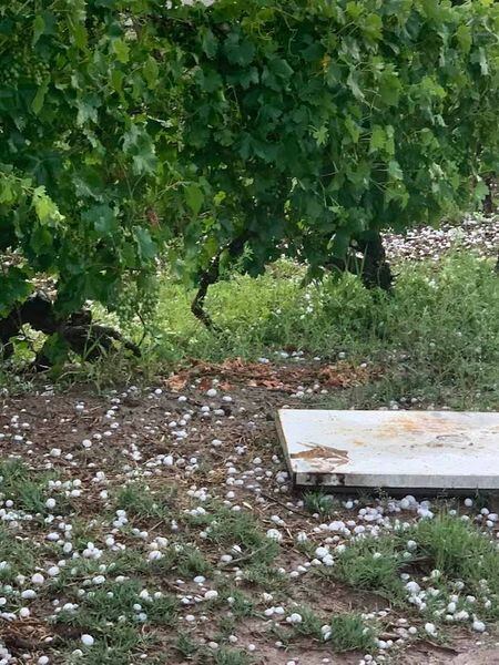 Una fuerte tormenta afectó a varias localidades del Este provincial durante la tarde y noche del jueves. Gentileza.