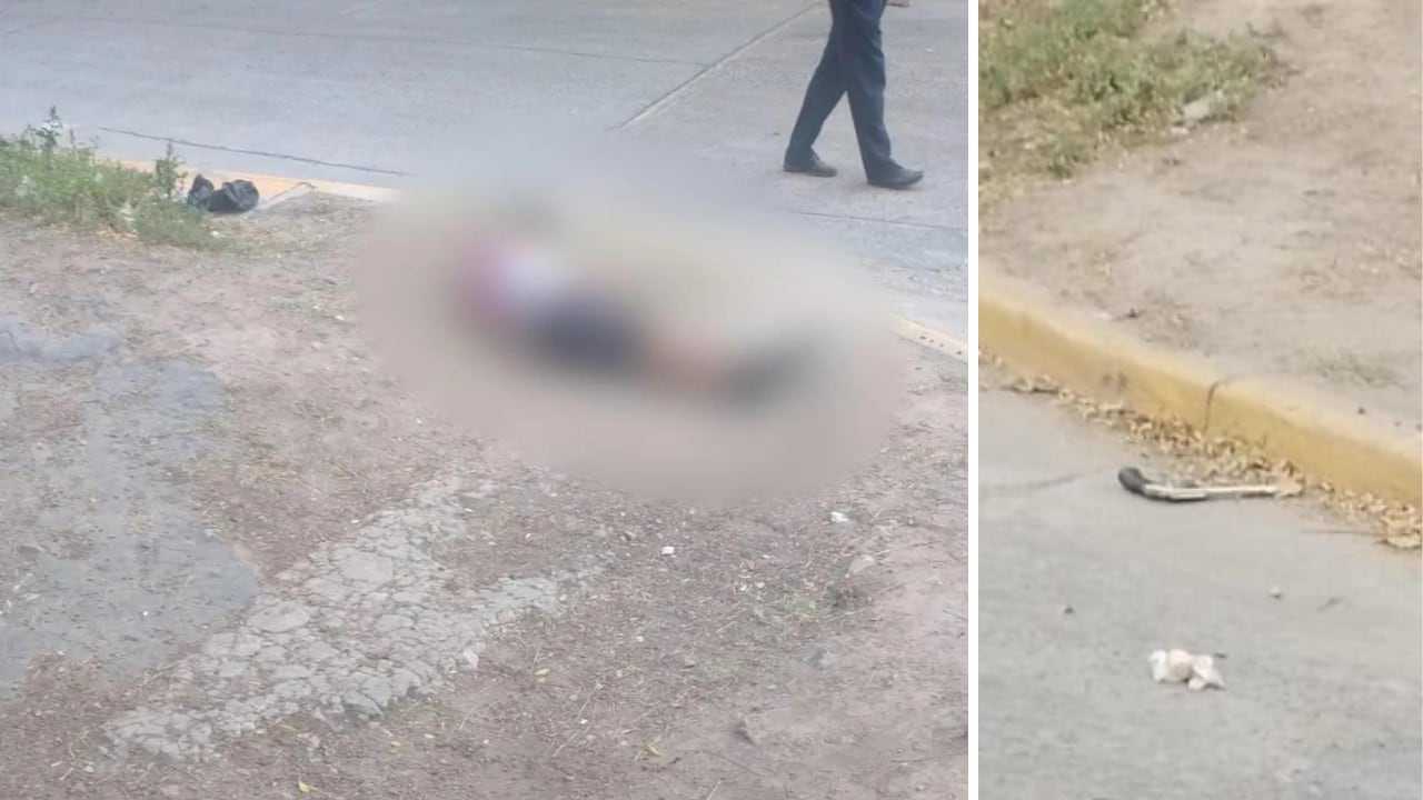 El cuerpo del delincuente y el arma del policía. Foto: El Diario Sur