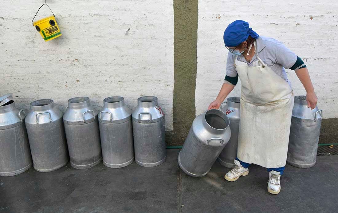 Día Mundial de la Leche.

El 1 de junio se celebra el Día Mundial de la Leche, una fecha proclamada por la Organización de las Naciones Unidas para la Agricultura y la Alimentación (FAO)