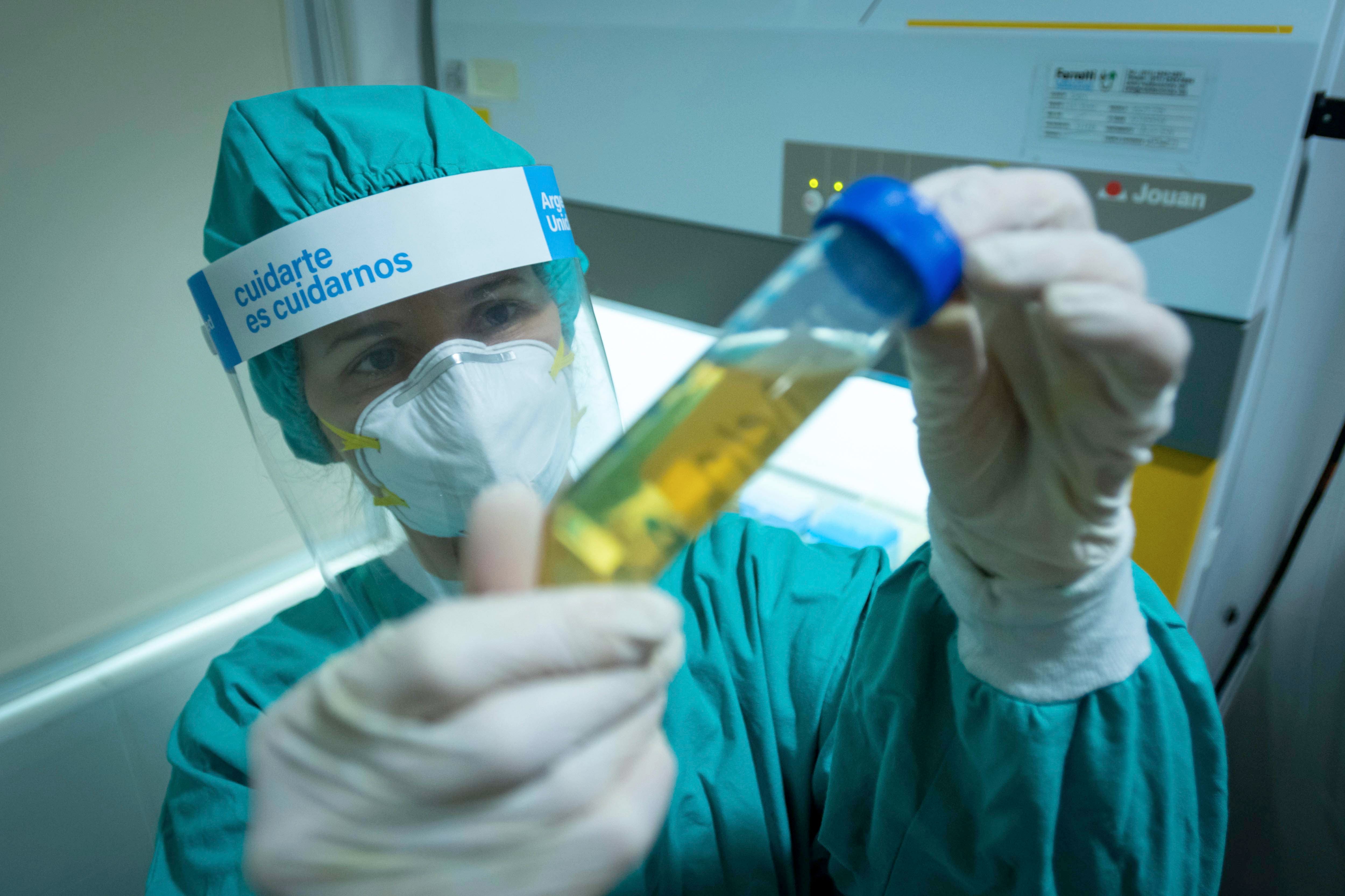 Procedimientos para la extracción de Plasma de pacientes que tuvieron Covid-19