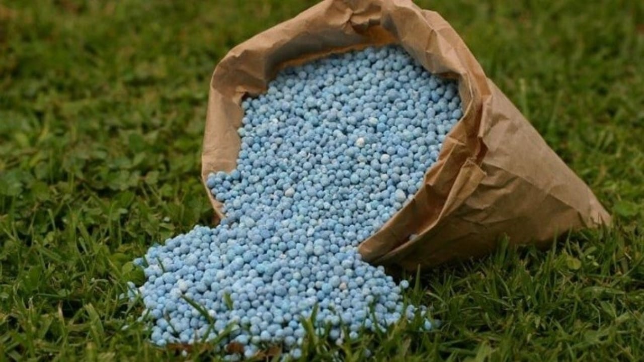 Fertilizantes