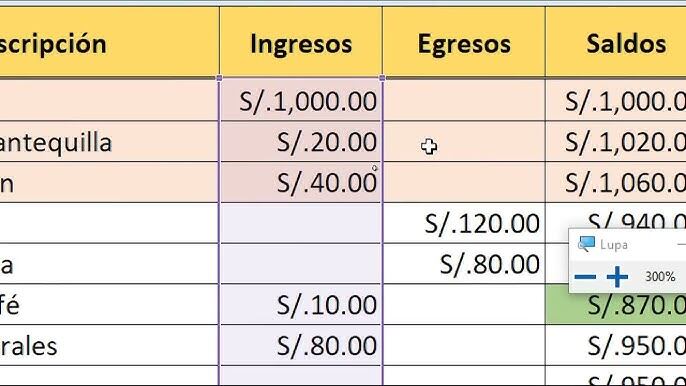 La manera más facil de llevar un control de ingresos y egresos.