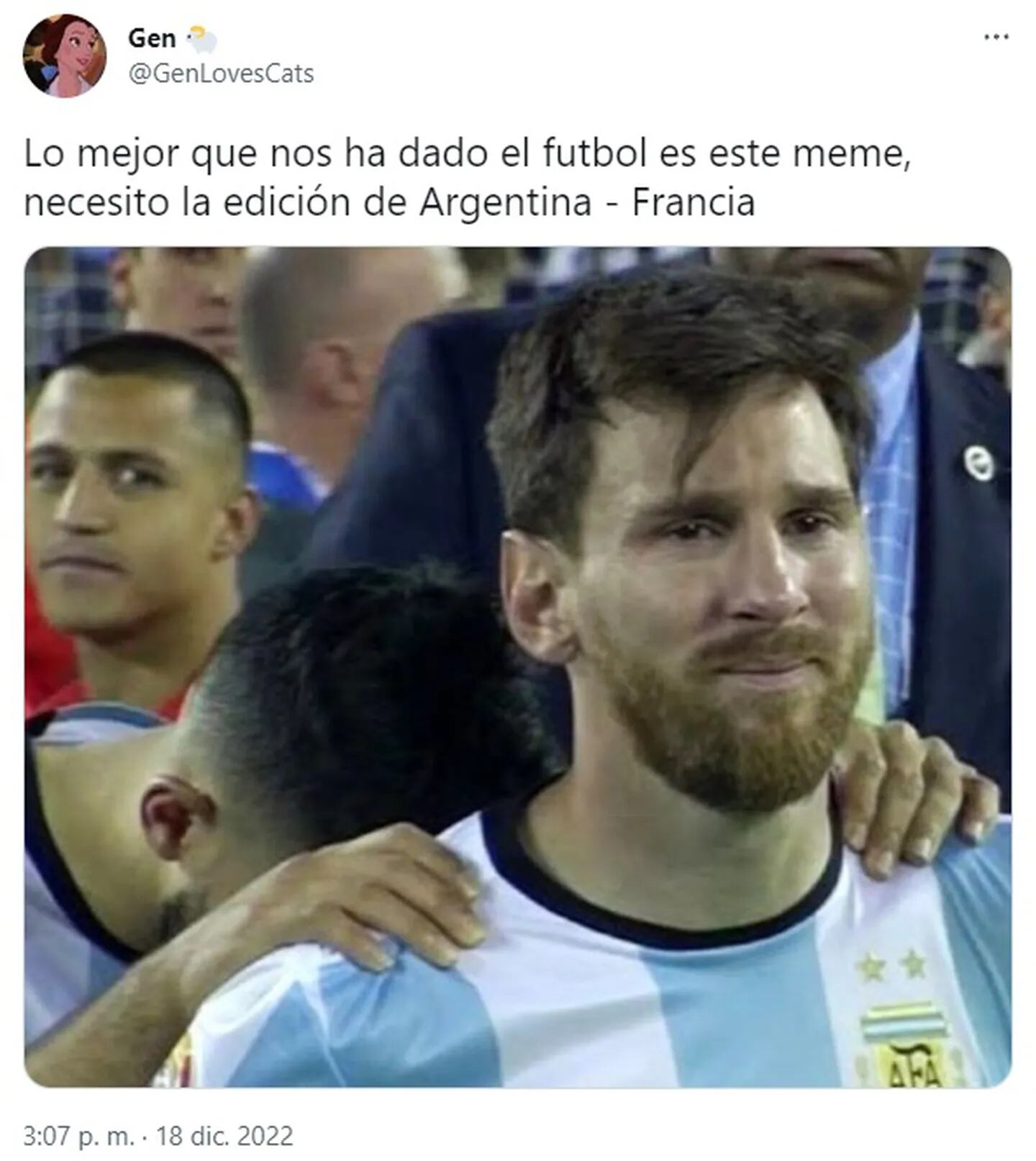 Los memes de Argentina campeón del mundo.