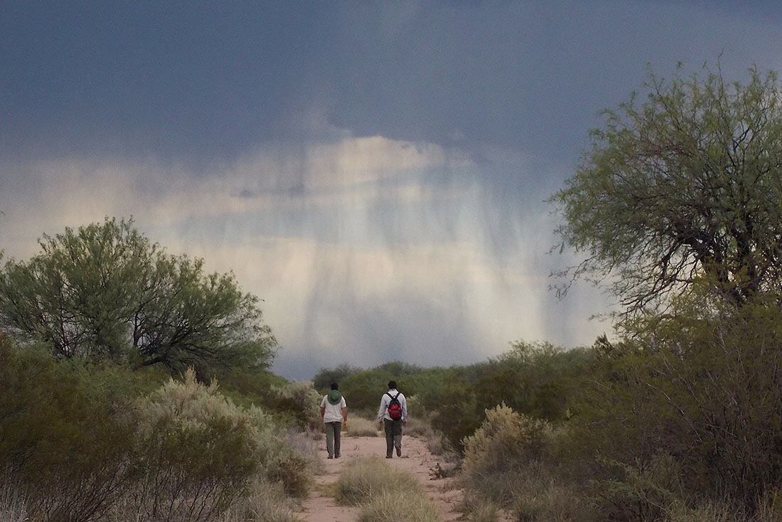 Reserva de Biósfera Ñacuñán