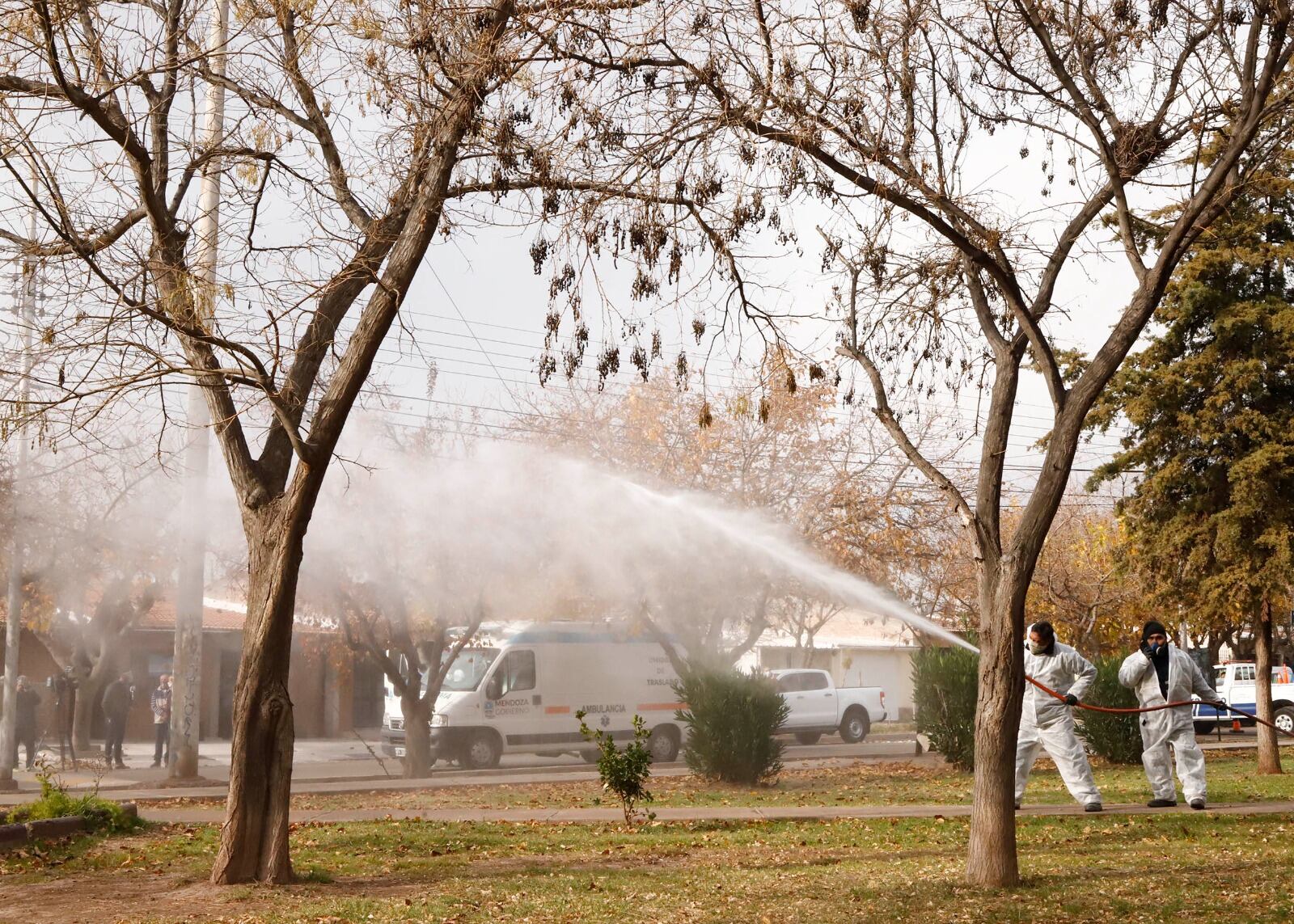 Prevención del dengue en Maipú