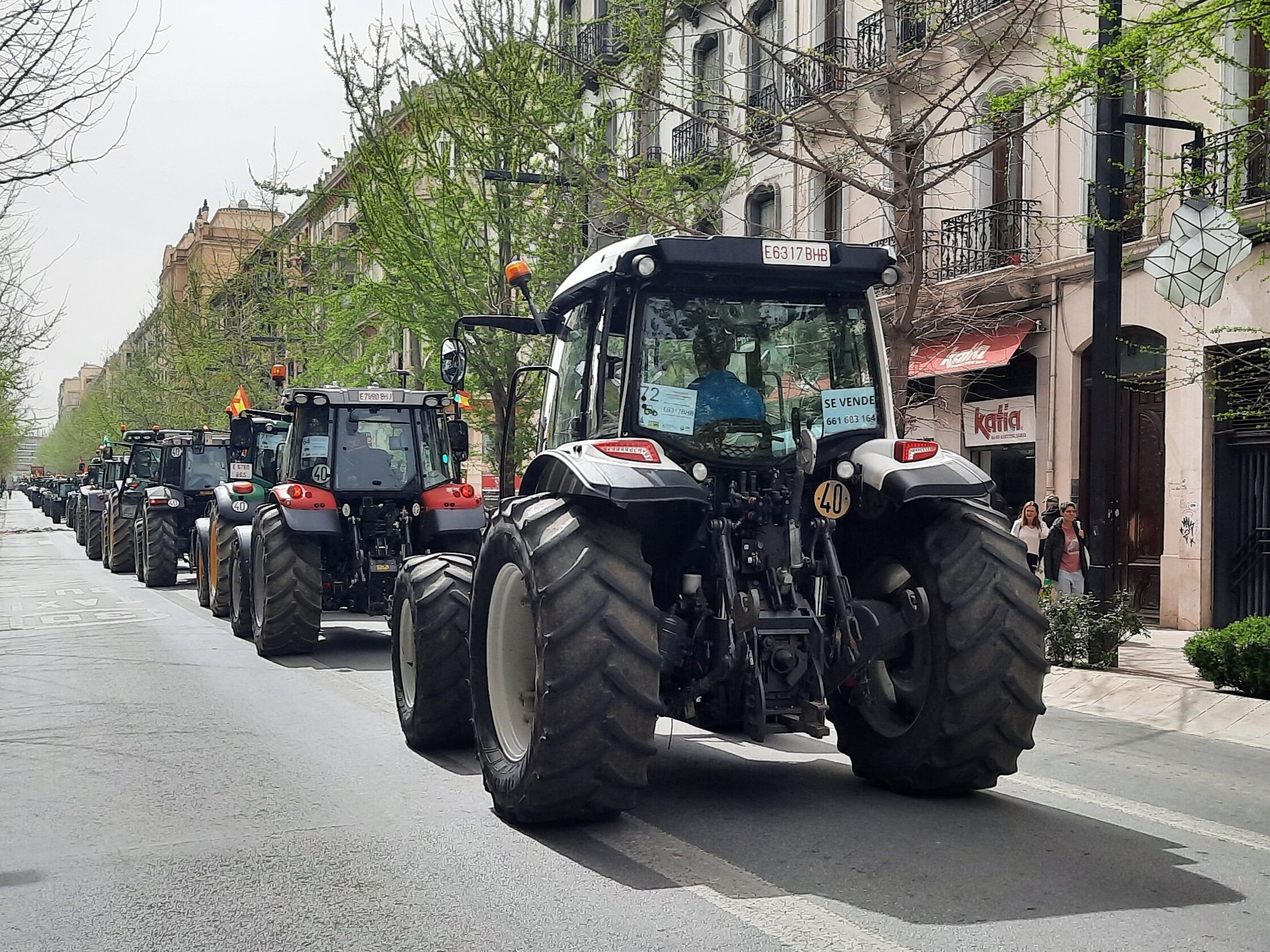 Desde principios de febrero, miles de productores europeos han salido a la calle, a pie o con sus tractores. 
Protesta del día 22 de marzo en Granada, España.
Foto: Mauricio Manini / Los Andes