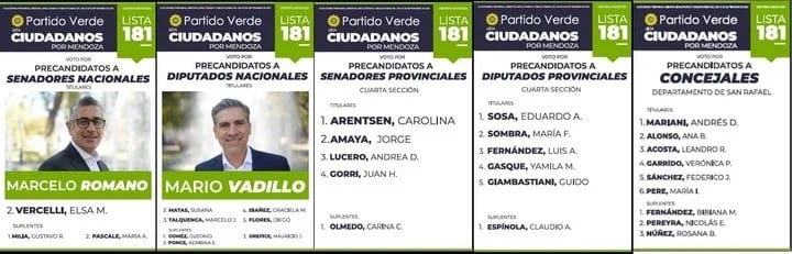 Luis Fernández, acusado de amenazar de muerte a Mauricio Macri. Integró la lista del Partido Verde.