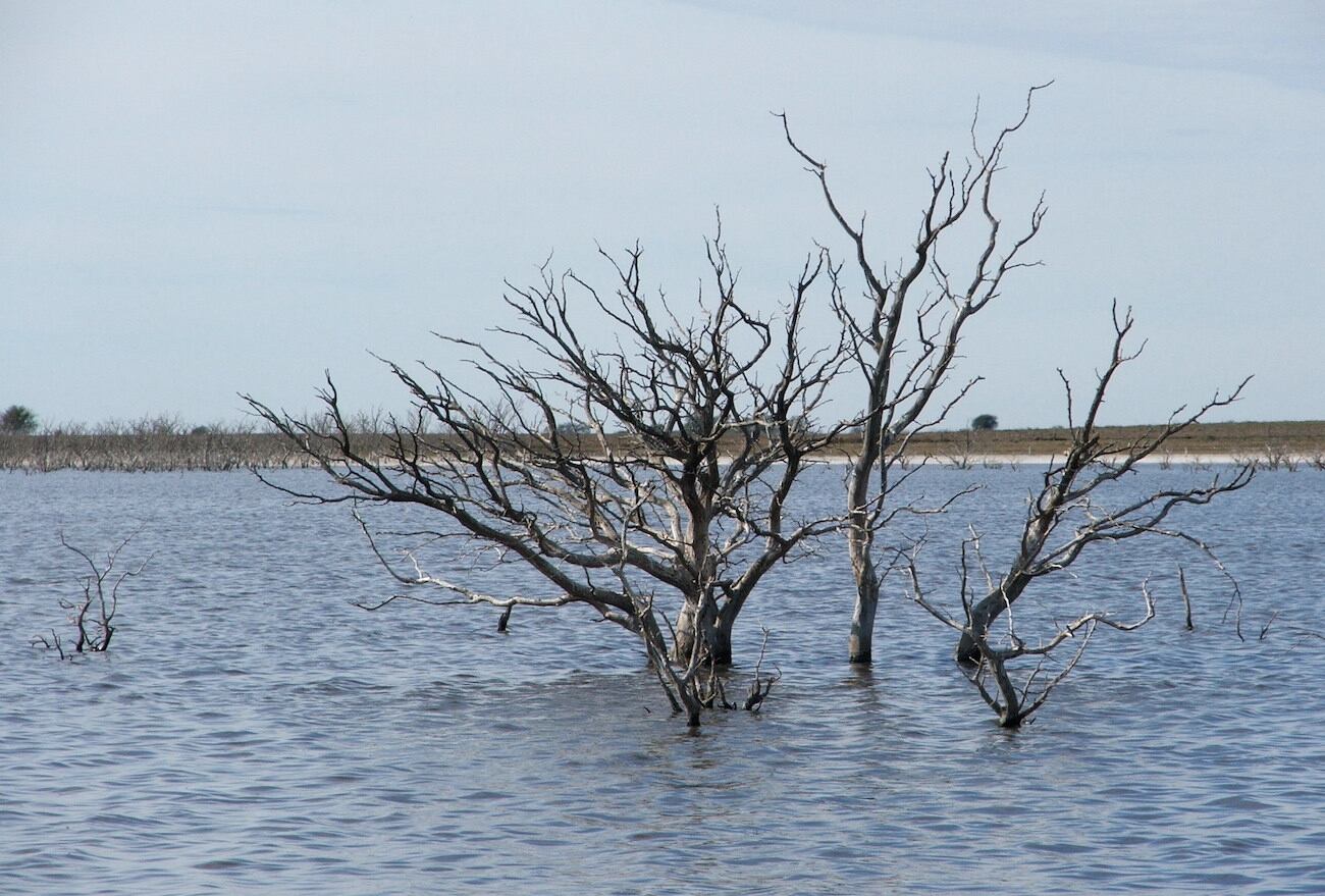 Una laguna somera durante un período lluvioso. Foto: Santiago Echaniz / UNLPam