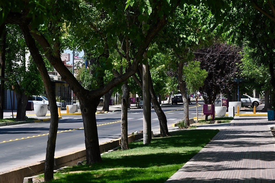 Godoy Cruz encaró diversas obras públicas en 2022 y proyecta muchas más para 2023. Foto: Prensa Godoy Cruz