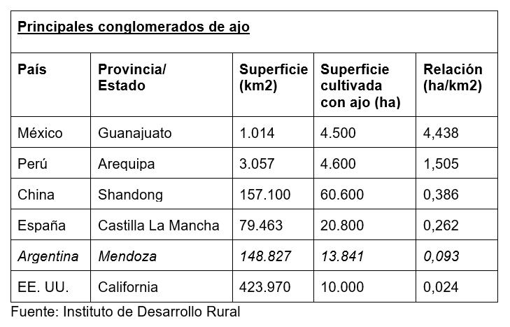 Si se analiza la relación entre hectáreas de ajo y cantidad de kilómetros cuadrados, Mendoza ocupa el quinto lugar mundial.