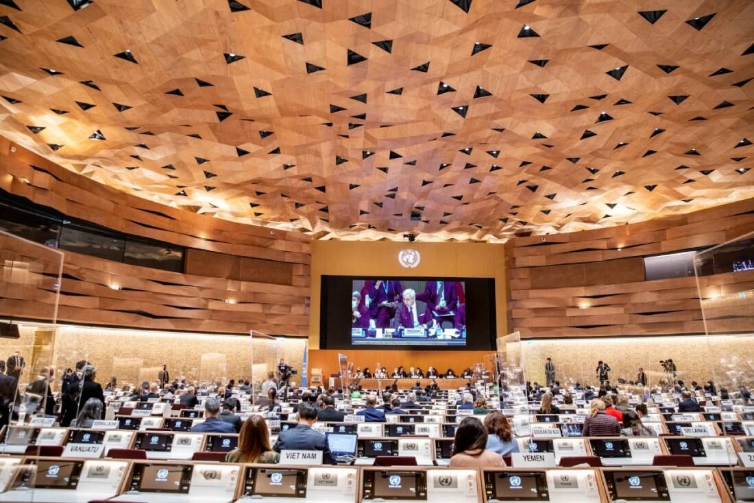 El Presidente del Consejo de Derechos Humanos de la ONU, el embajador argentino Federico Villegas, habló ante el pleno del cuerpo.