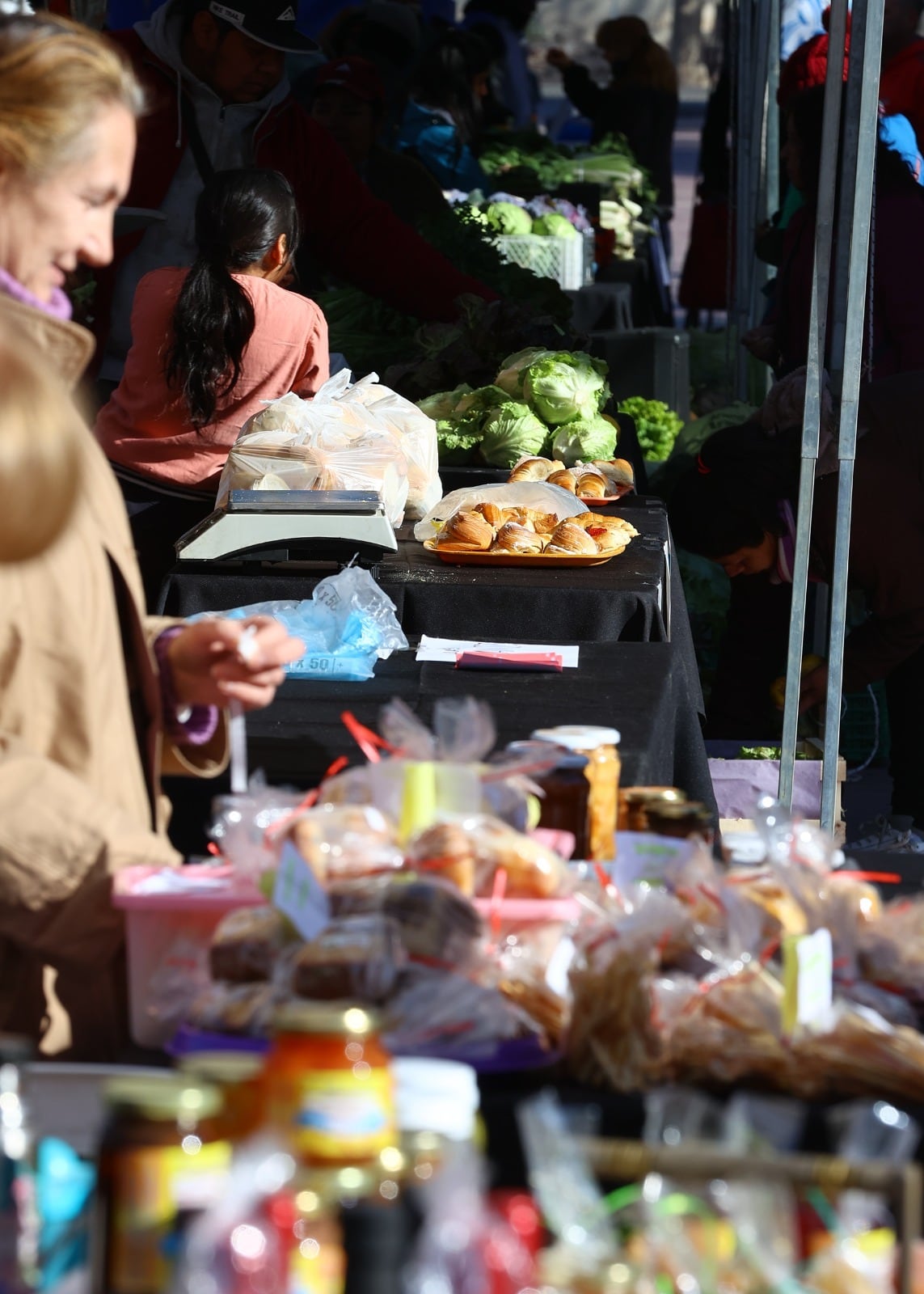 Para fomentar la producción local de comerciantes, Maipú continúa con la “Feria del productor al consumidor”. Quienes quieran visitar la feria podrán encontrarse con ofertas de frutas, verduras y otros alimentos a bajo costo a partir de las 9.30 hs hasta las 18 hs en la Estación Gutiérrez.