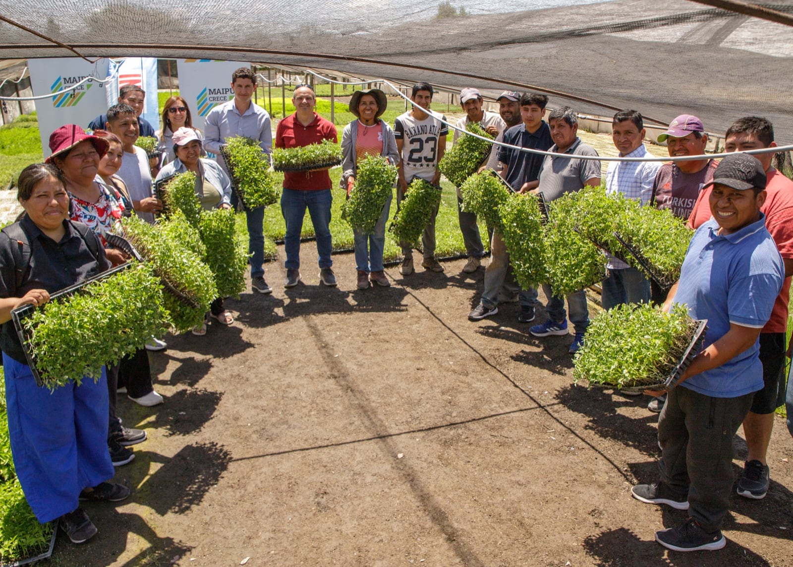 Maipú fomenta la soberanía productiva entregando más de 35 mil plantines