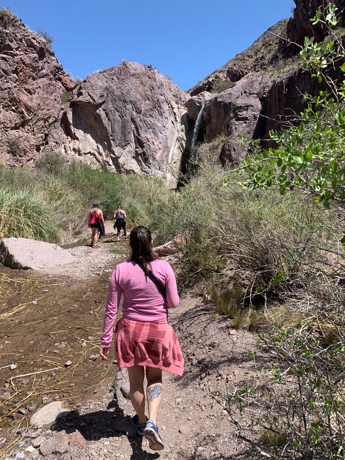 El camino hacia la cascada se realiza alrededor del río y entre la flora del lugar