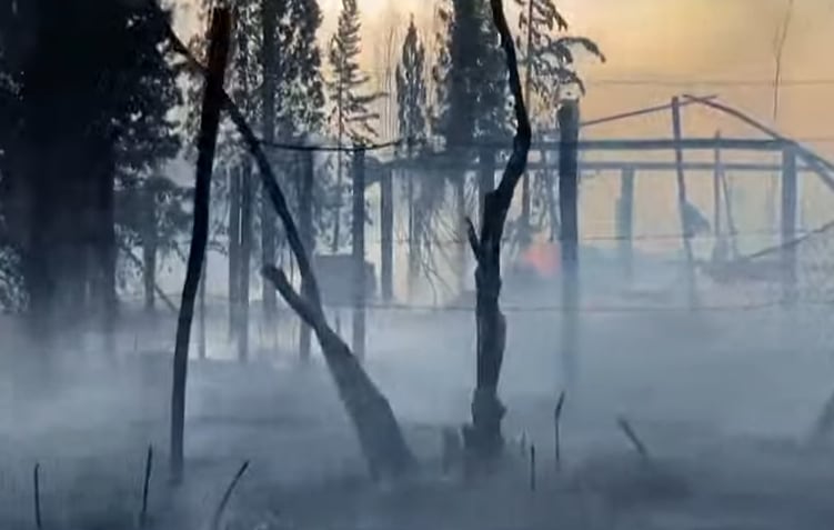 Vecinos de Los Corralitos intentaban apagar el fuego - Captura de video