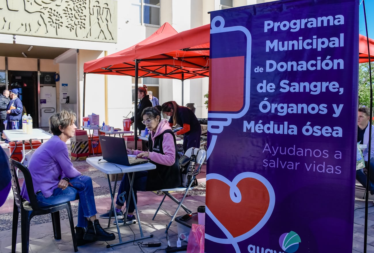 Colecta de Sangre y Médula Ósea