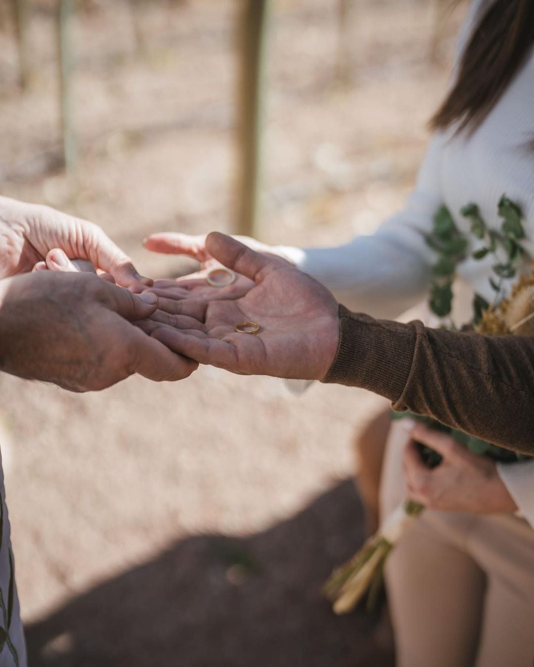 El compromiso de Luis Petri y Cristina Pérez en Mendoza. Foto: Instagram / @cris_noticias