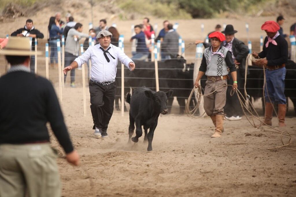 Este sábado se realiza el Día de Campo y se presenta oficialmente las actividades de la Fiesta Nacional de la Ganadería.