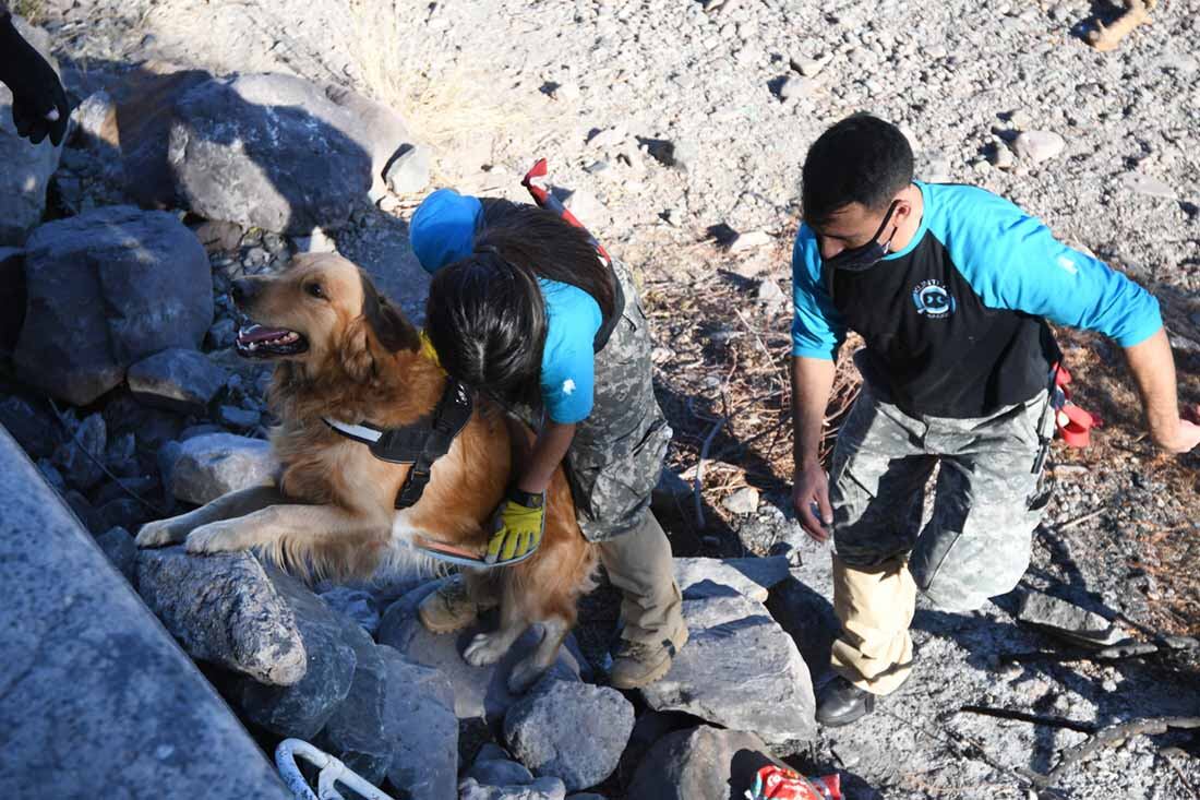 Rastrillajes buscando a la joven desaparecida Abigail Carniel, perros de búsqueda junto con la policía trabajan en los barrios Infanta y Sargento Cabral de Las Heras.