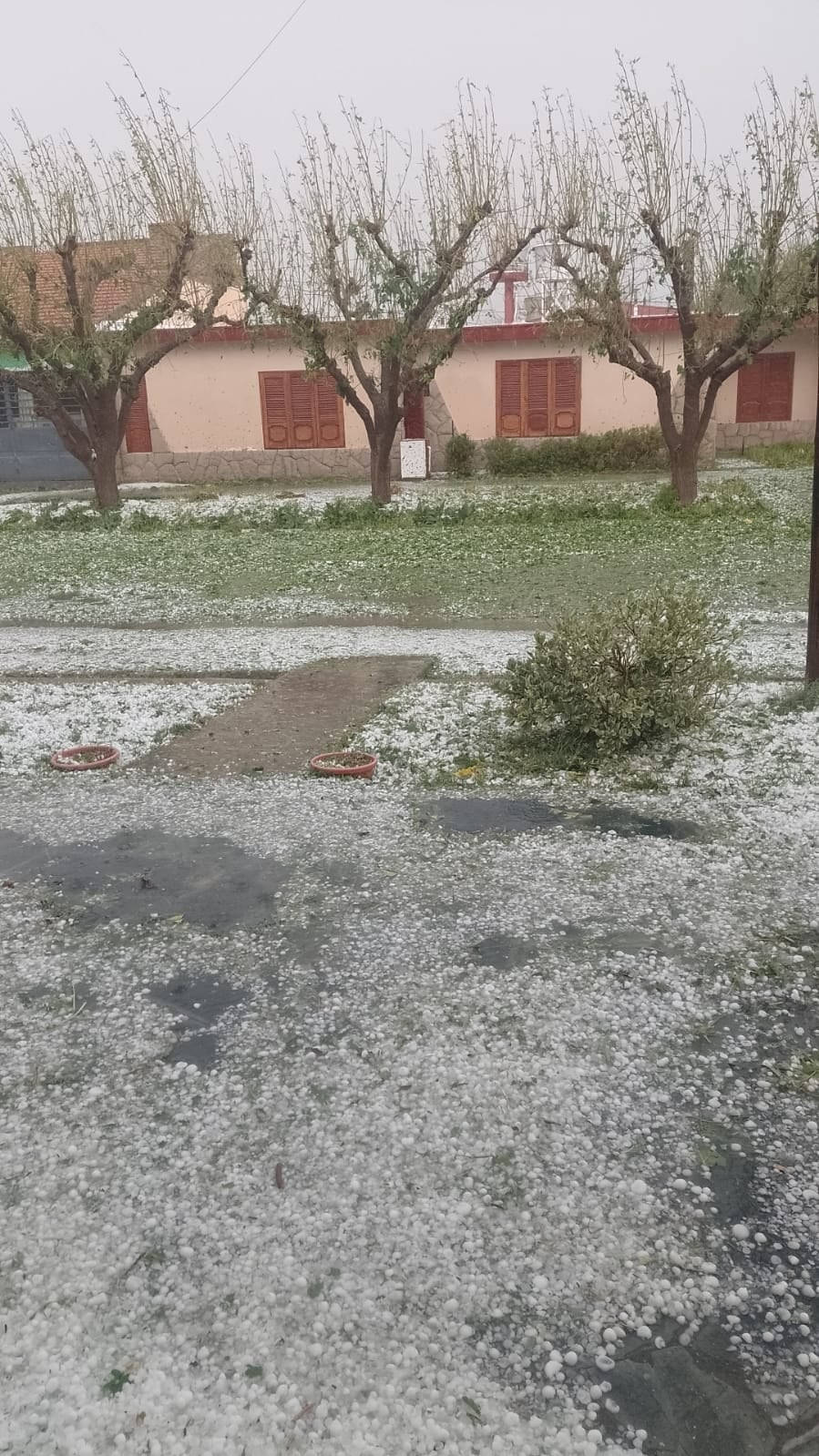 Una fuerte tormenta de lluvia, viento y granizo afectó a varios distritos de San Rafael. Foto: gentileza.