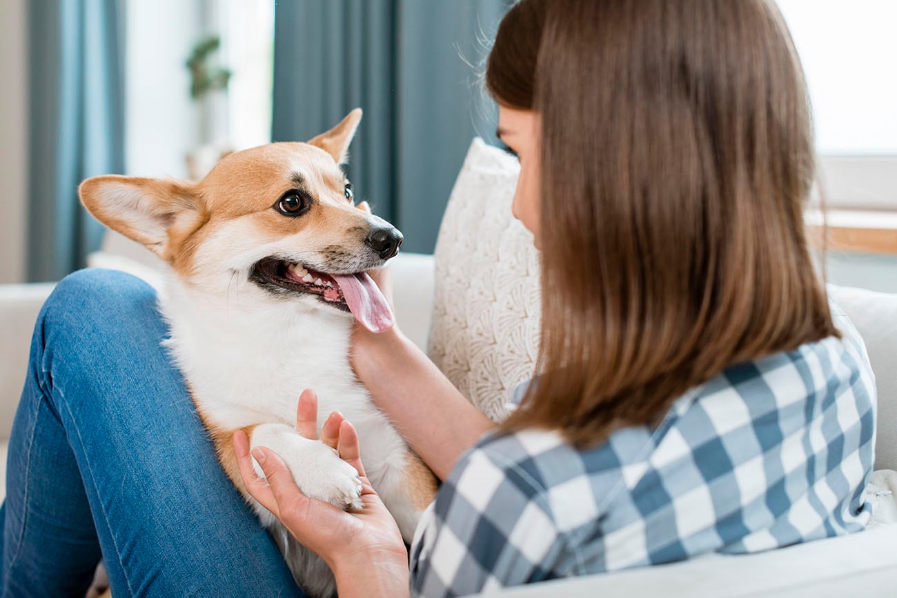 Por qué hay que hablarle a los perros más despacio. La ciencia tiene la respuesta. (Freepik)