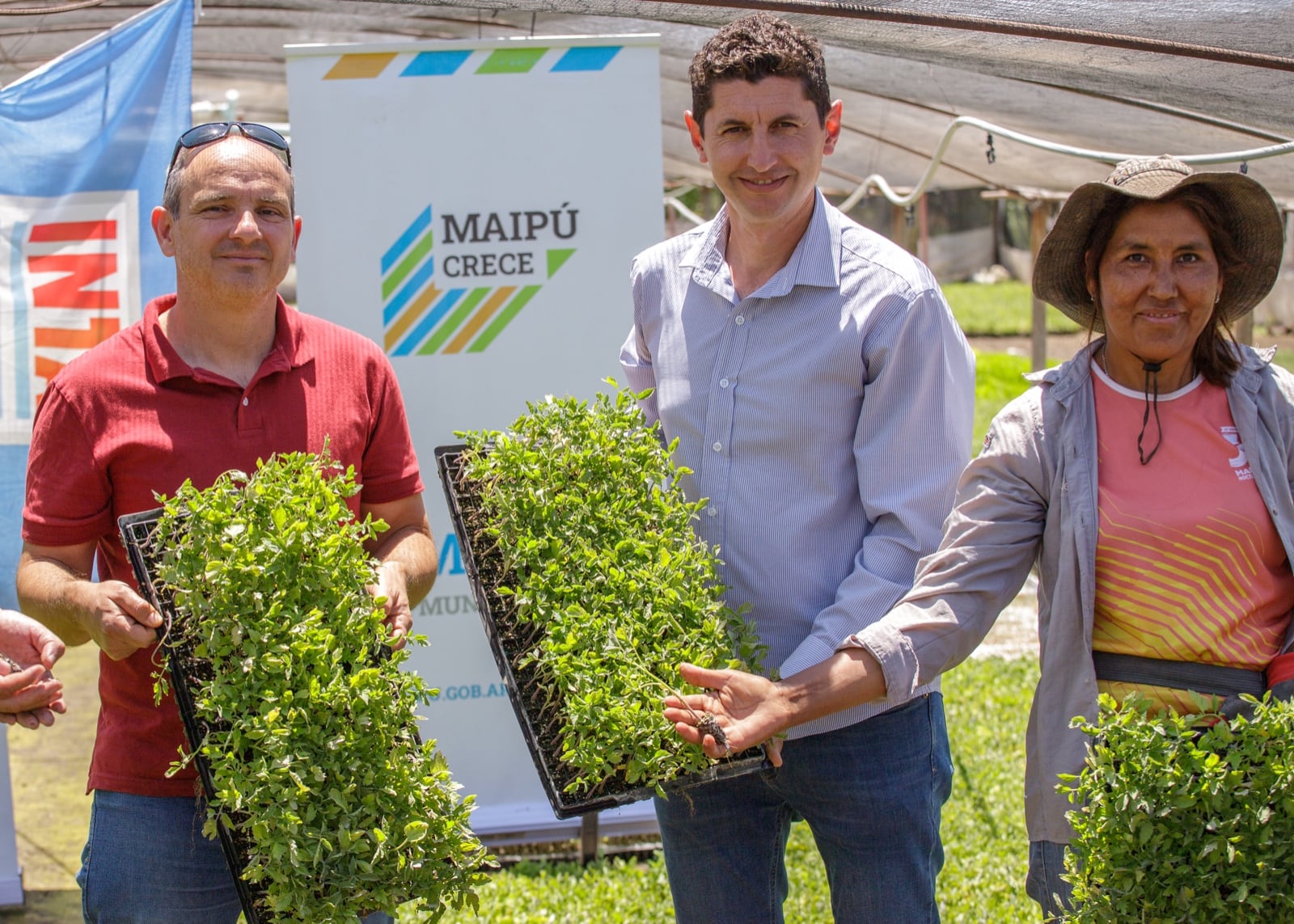 Maipú fomenta la soberanía productiva entregando más de 35 mil plantines