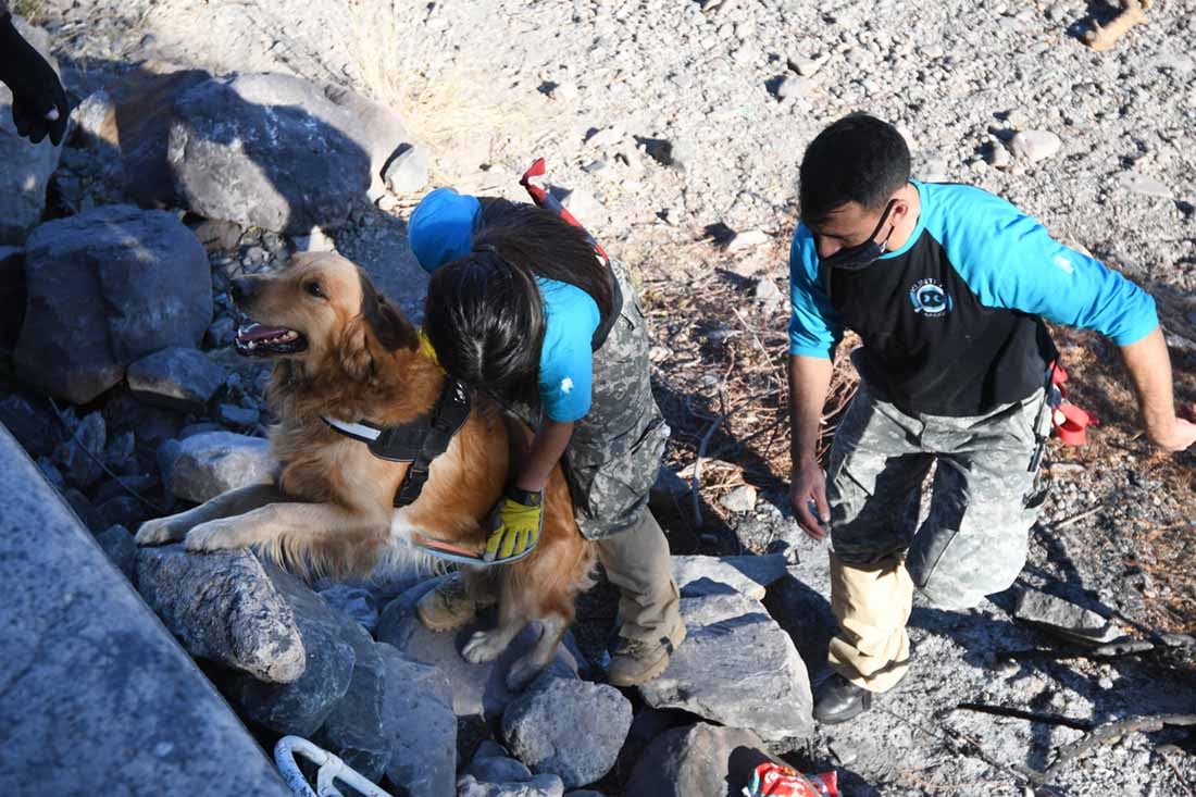 Realizan rastrillajes buscando a la joven desaparecida Abigail Carniel, perros de busqueda junto con la policia trabajan en los barrios Infanta y Sargento Cabral de Las Heras.
Foto:José Gutierrez