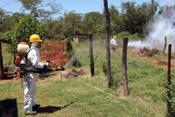 Es una problemática solo de zonas urbanas o semiurbanas. Sobre todo donde se acumula agua estancada o existen reservorios que puedan contener agua sin circulación. / Foto: Prensa Gobierno de Mendoza.