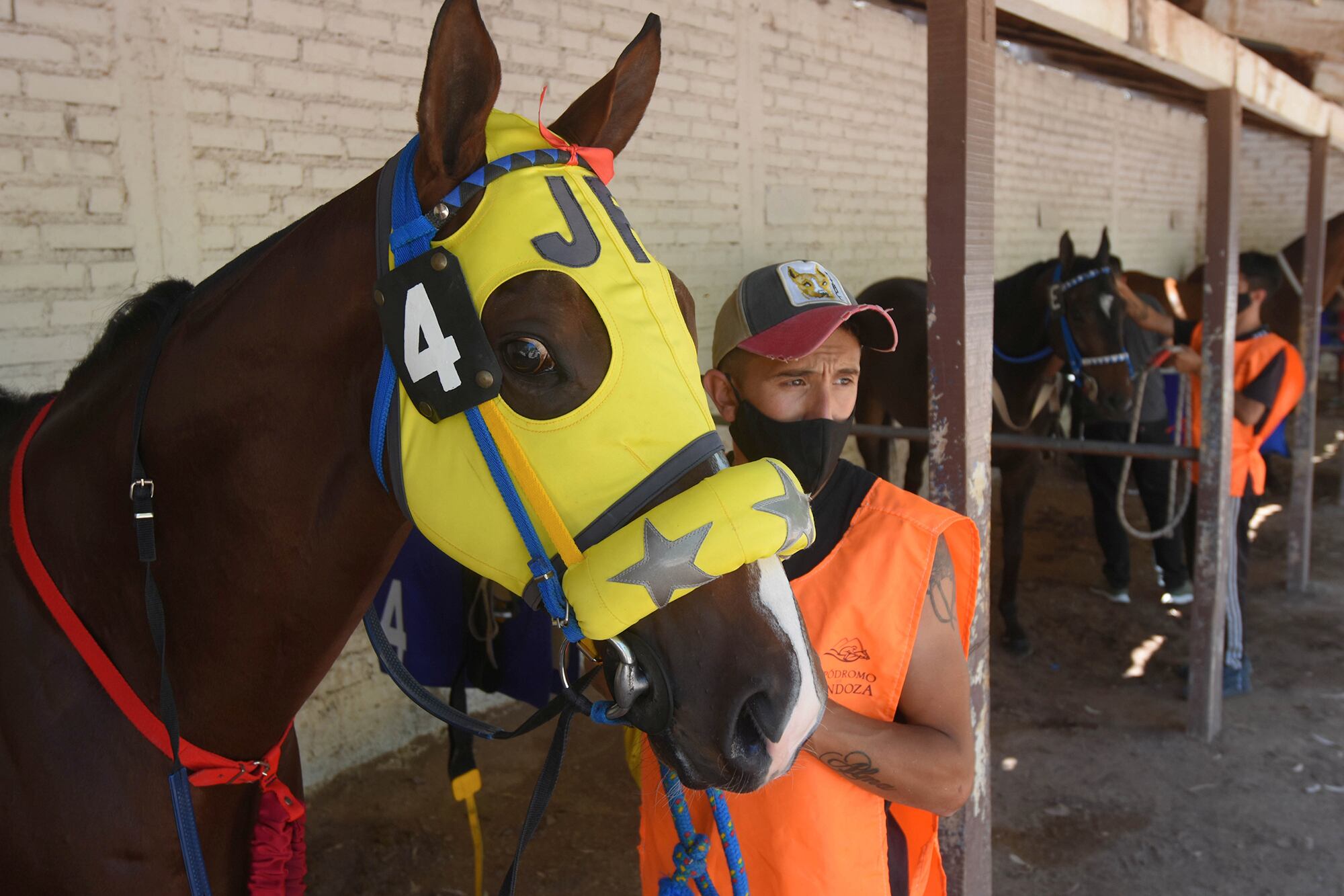 Los cuidadores preparan los caballos para la competencia.