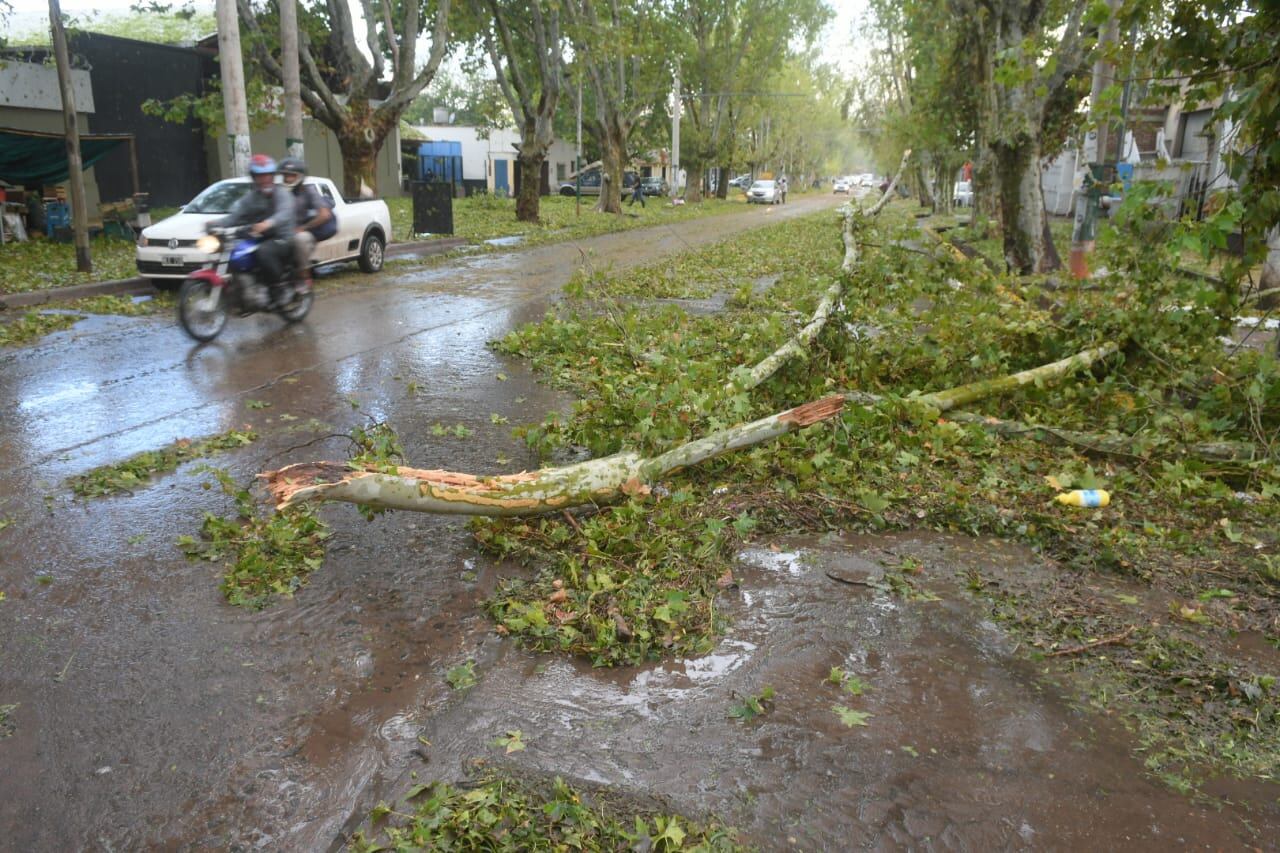 La fuerte tormenta que afectó al Gran Mendoza dejó daños en distintos puntos del área metropolitana. Ignacio Blanco.