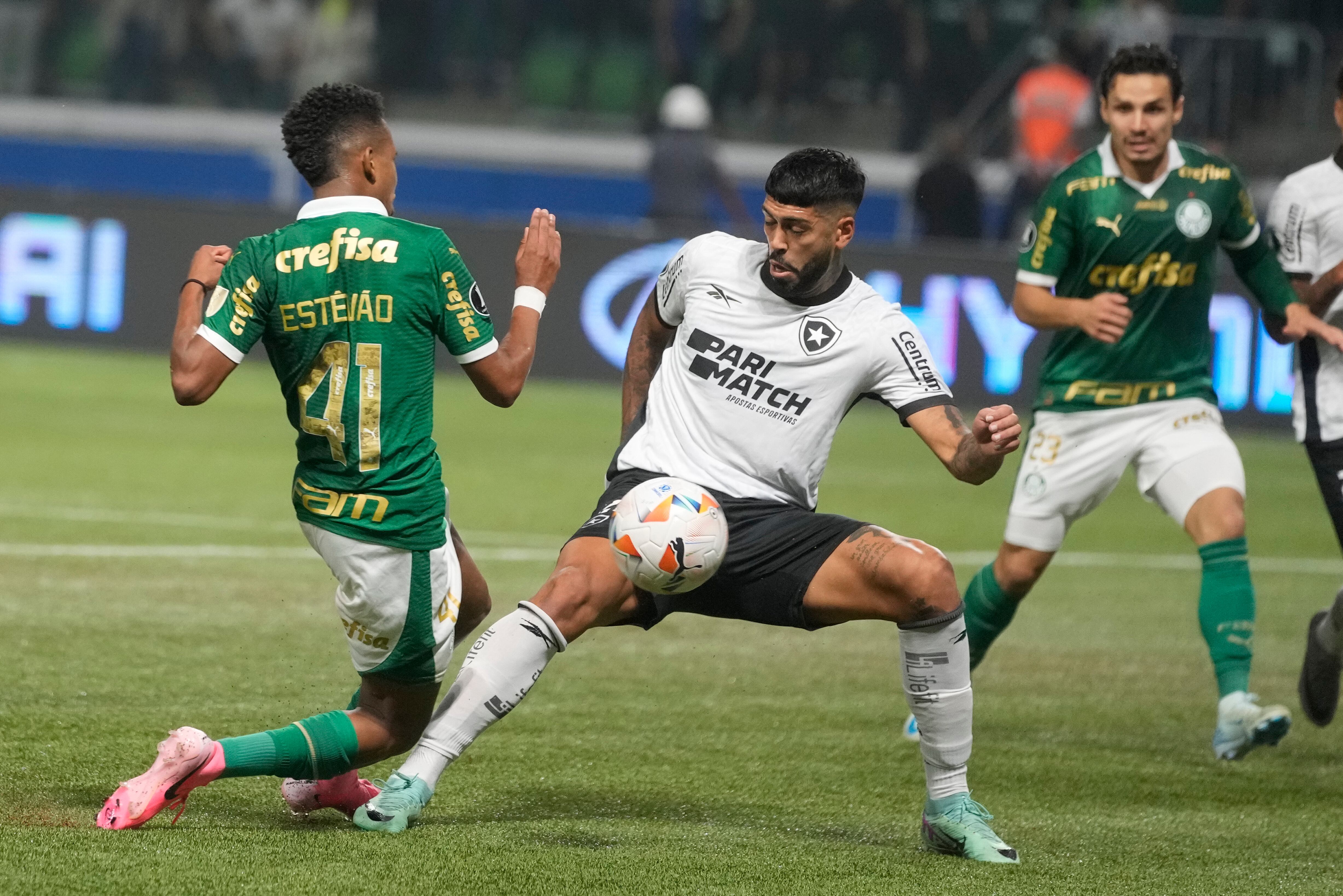 Palmeiras (AP Foto/Andre Penner)