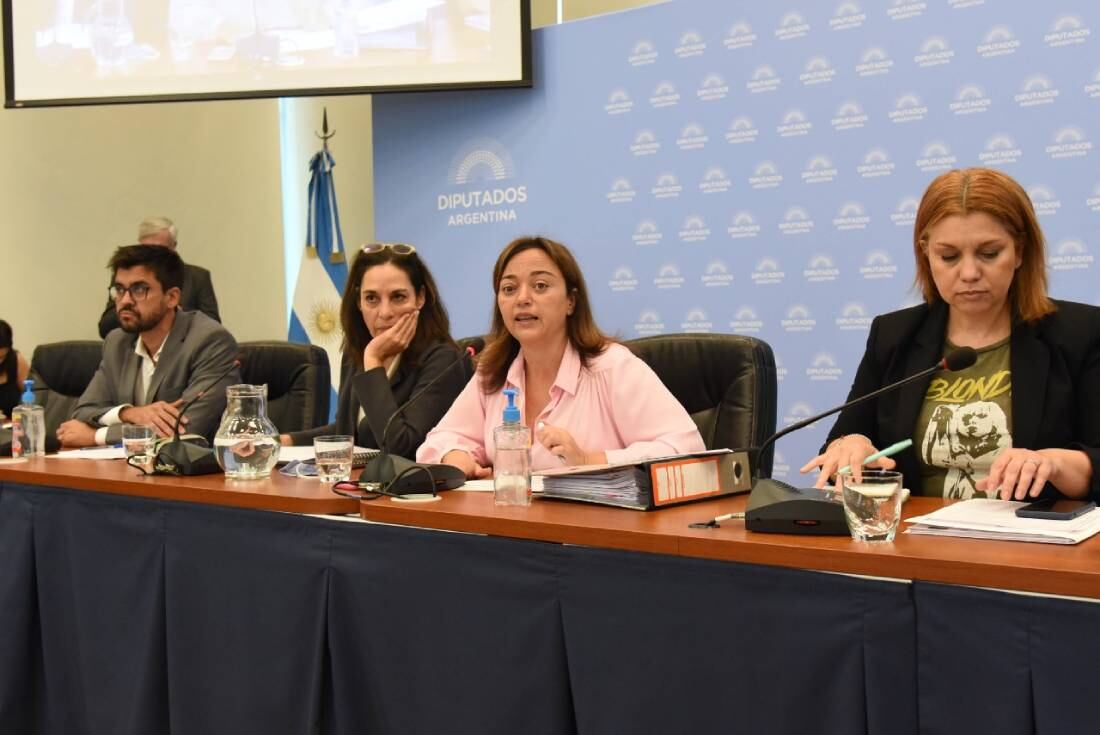 Cecilia Moreau encabezó la reunión de la Comisión de Legislación General (Foto: HCDN)