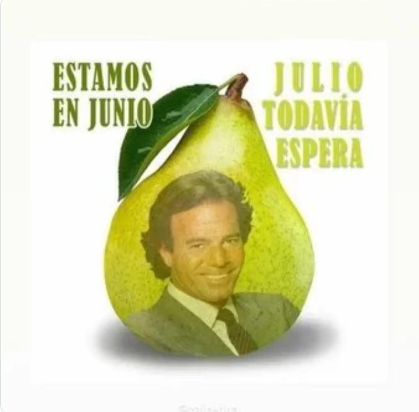 Regresaron los memes de Julio Iglesias para darle inicio al séptimo mes