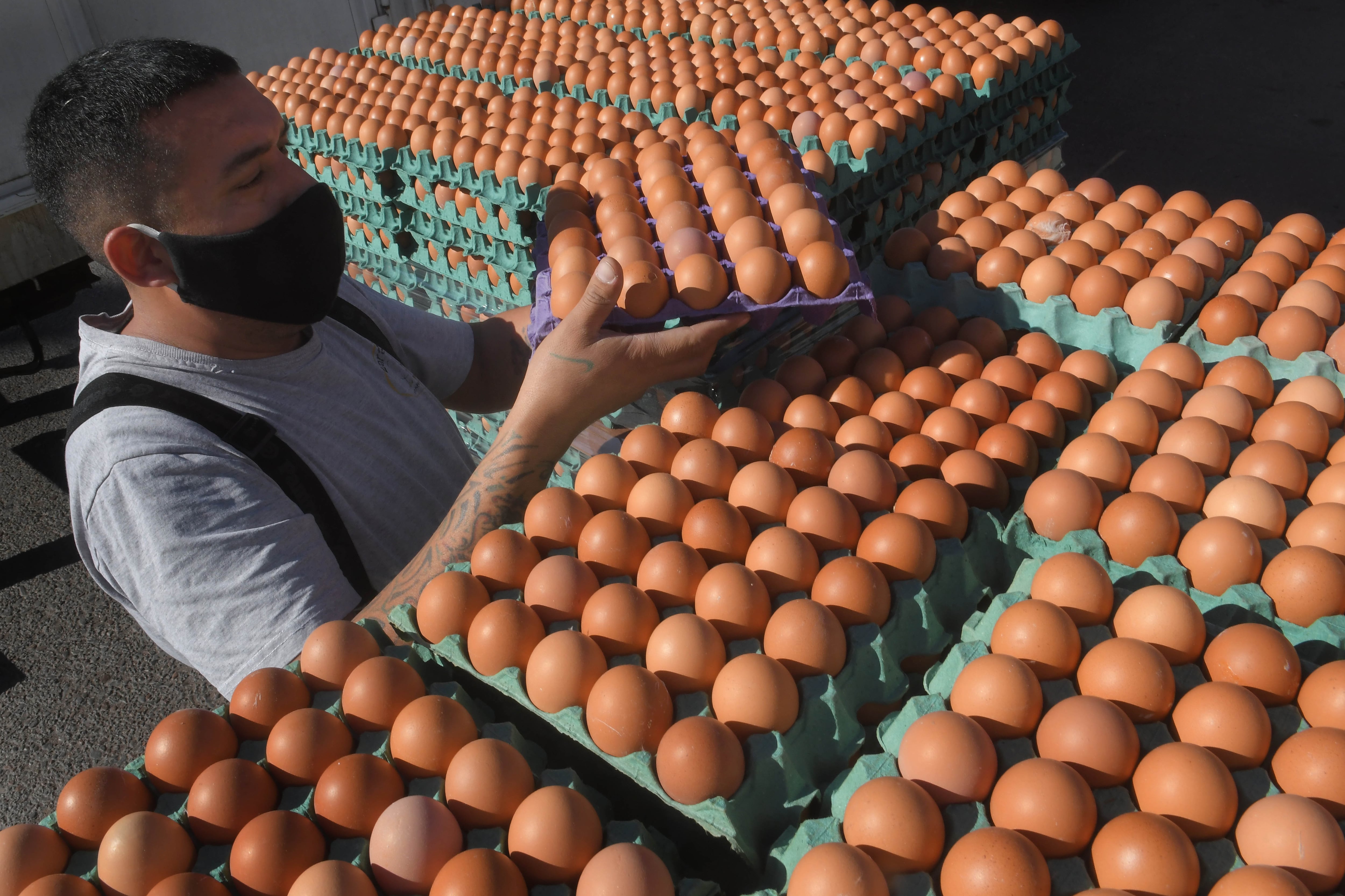 El valor del huevo en el mercado no logra repuntar y aseguran que muchos cerrarán.