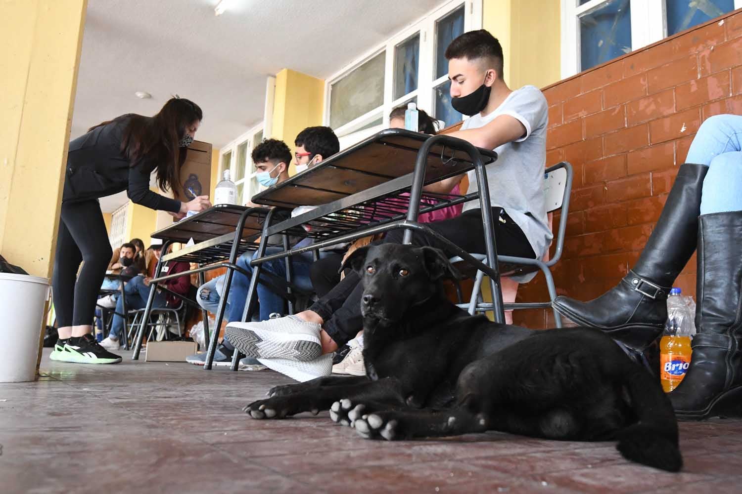 .
En todo el territorio Nacional se realizan las Elecciones Legislativas PASO
Escuela Leandro Alem de Guaymallén.
Foto José Gutierrez