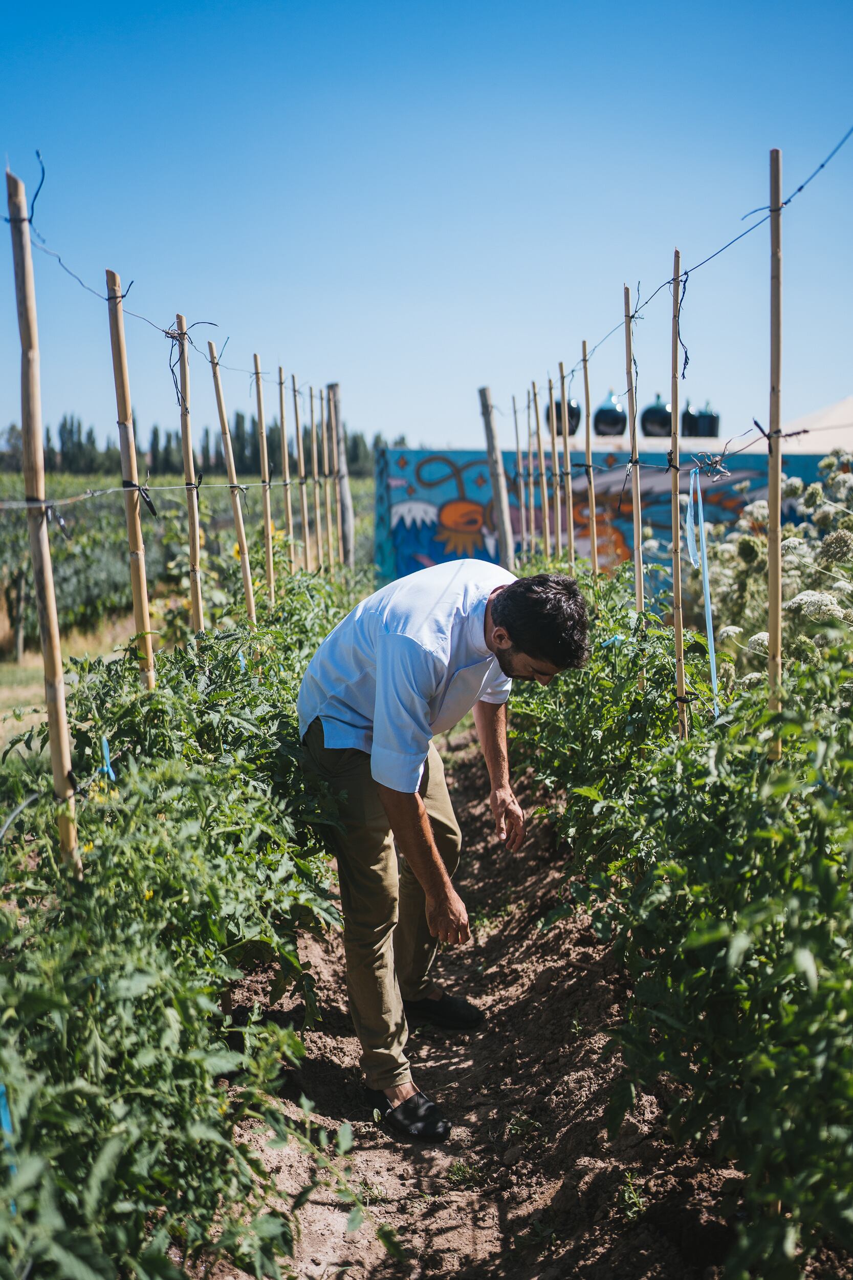 El cheff pertenece a una comunidad de productores orgánicos en Ruta 60, Maipú.