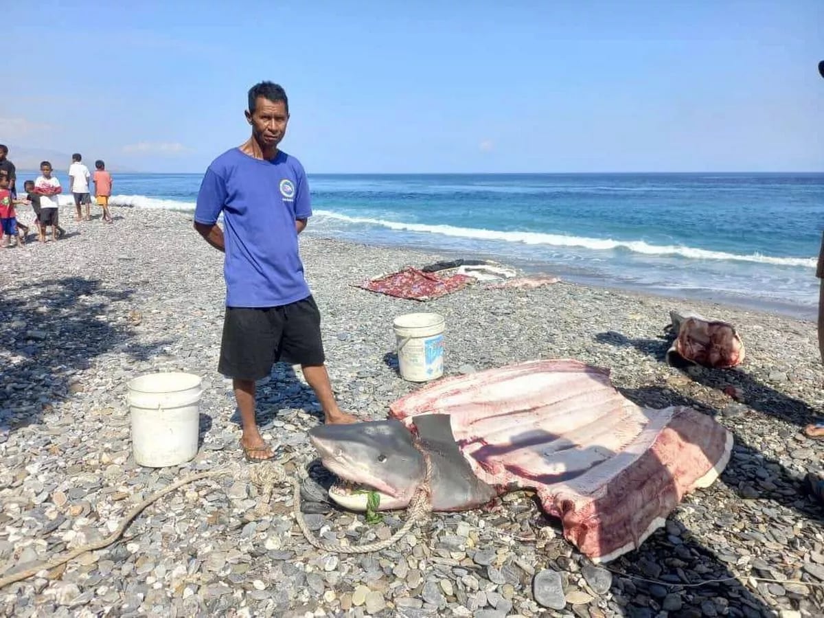 Un pescador de la zona hizo el horrendo hallazgo - Foto Mirror