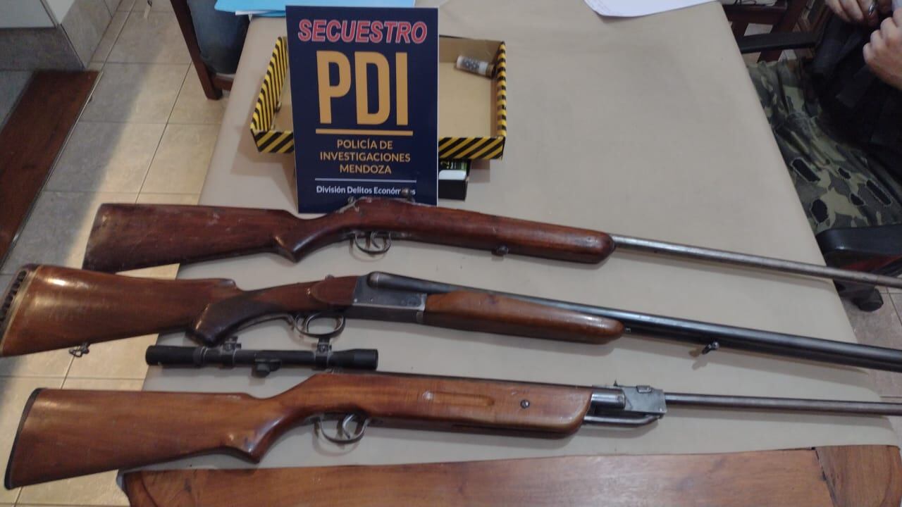 Las armas decomisadas.