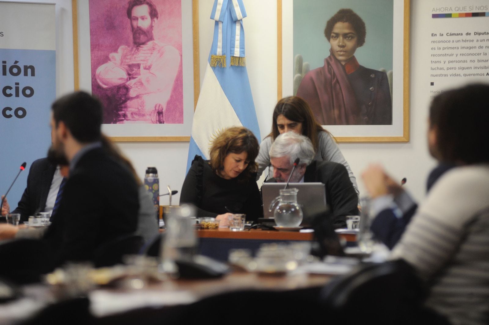 La diputada Carolina Gaillard, presidenta de la Comisión de Juicio Político (Foto: Federico López Claro)