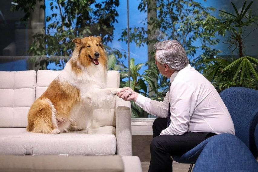 Dylan, el perro de Alberto Fernández