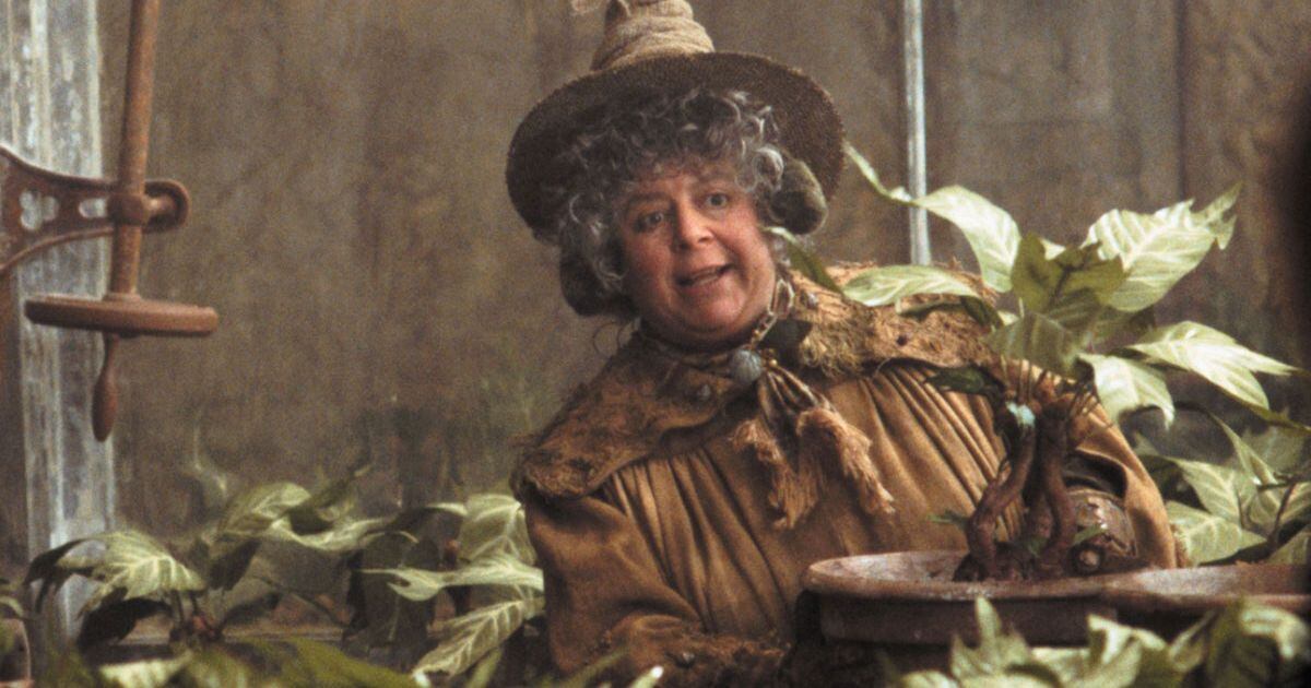 Miriam Margolyes