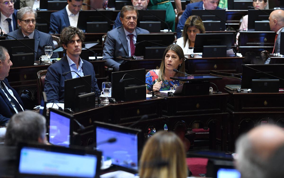 Los senadores nacionales Rodolfo Suárez y Mariana Juri votaron a favor de la 
 exclusión del senador Kueider. Foto: @SenadoArgentina