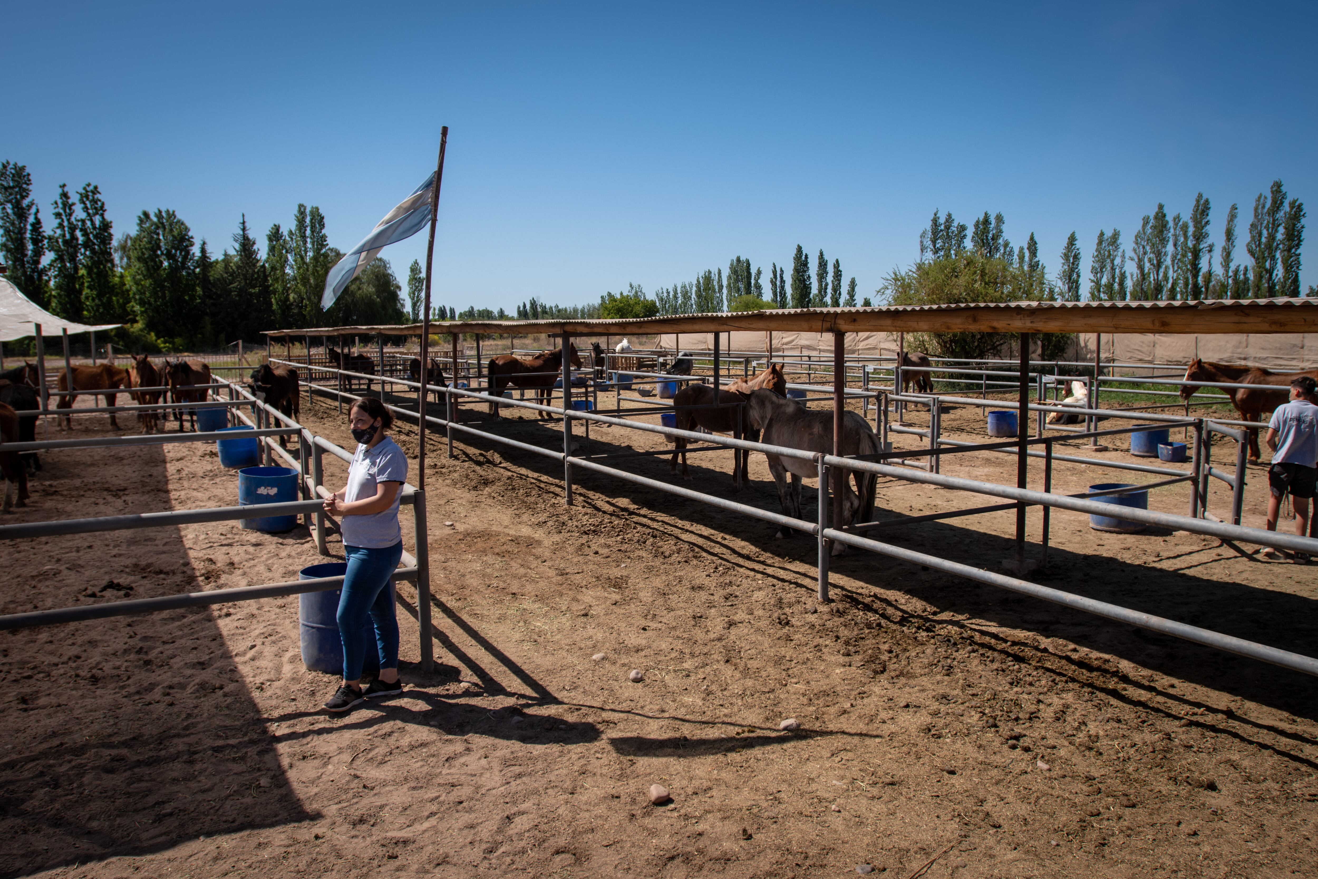 Tuvieron que hacer mas corrales para recibir a los animales rescatados en San Rafael.