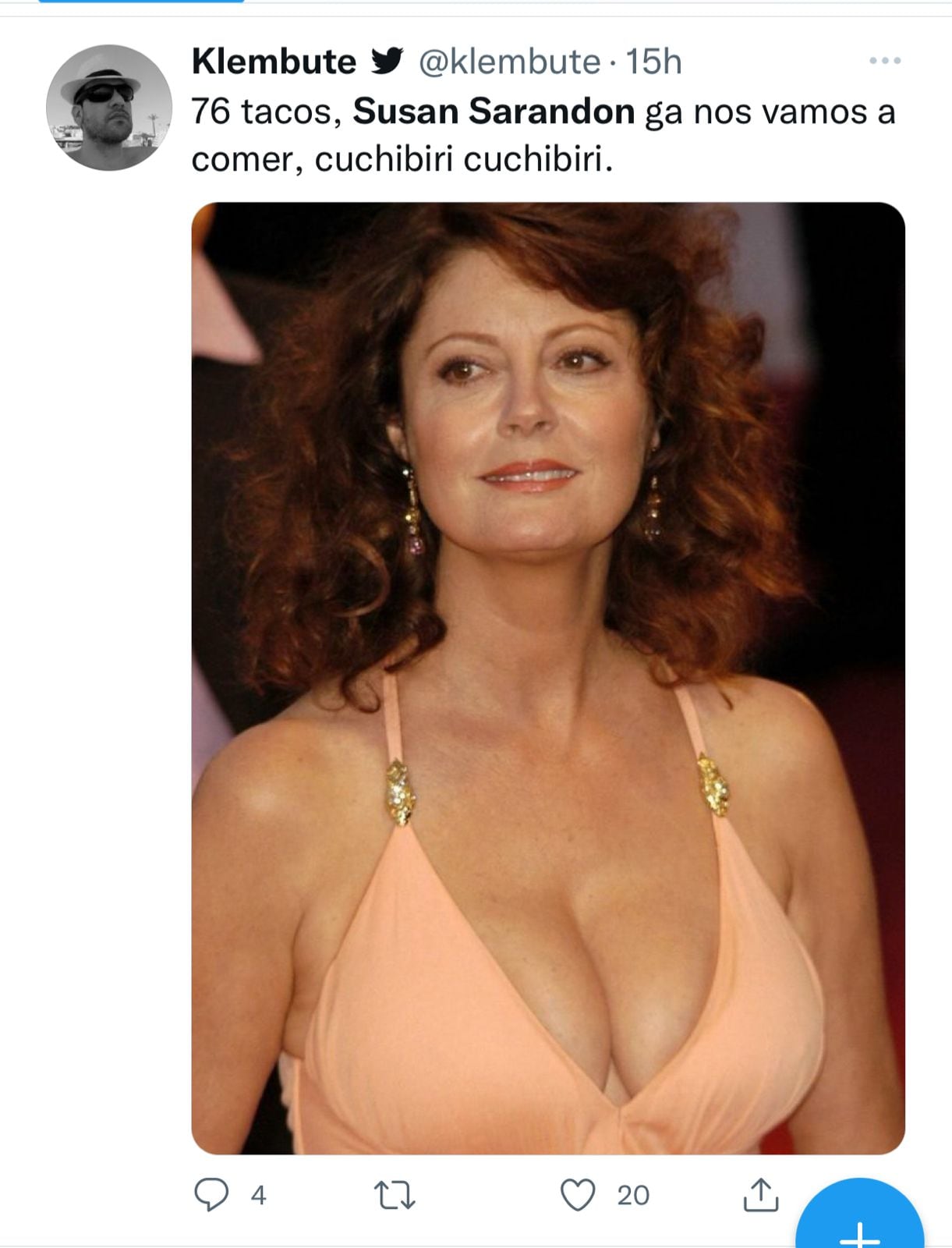 Susan Sarandon, furor en Twitter.