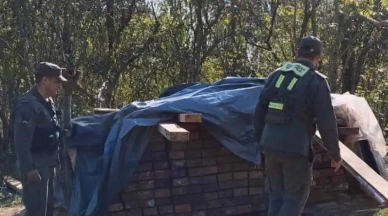 Las vigas de madera estaban en el medio de la selva tapadas por una lona. Foto: Barranqueras Online.