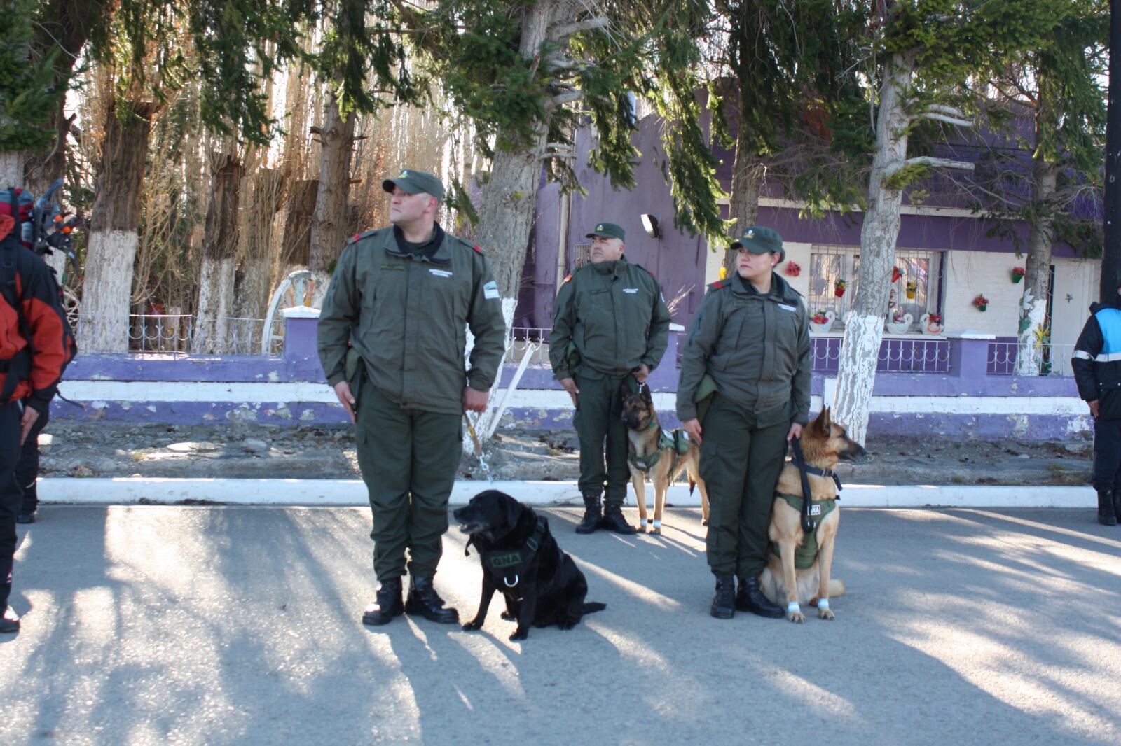 Quién es Pecky: anécdotas y la historia de la perra gendarme que emocionó a todos luego de su retiro. Foto: Gentileza Gendarmería Nacional