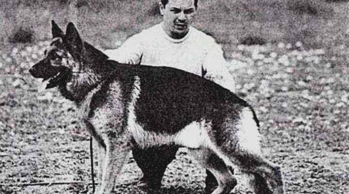 Chonino. Fue entrenado por la Policía Federal Argentina (Archivo).